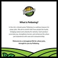 thumbnail image 4 of Green A Day - Veggie Strips | a Healthy Vegetarian Supplement Chew for Dogs Made with Real Fruits and Vegetables | 3 oz Bag x4 (Mix Carrot/Pumpkin - Apple Pack), 4 of 15