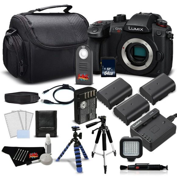 Panasonic Lumix DC-GH5S Mirrorless Micro Four Thirds Digital Camera DC-GH5S- Platinum Plus level Bundle