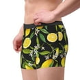 thumbnail image 3 of Wukai Lemon Fruits Flowers Leaves Print Men’s Underwear Breathable Boxer Briefs,&nbsp;Moisture Wicking & Breathable-Large, 3 of 7