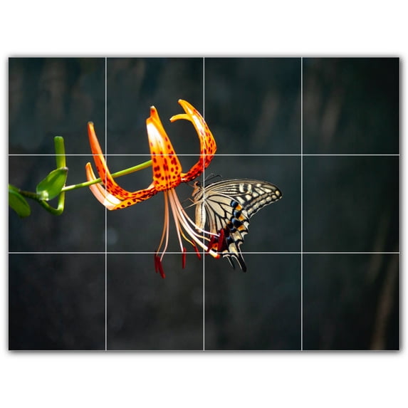 Picture-Tiles.com: Butterfly Ceramic Tile Wall Mural WAL500276-43XL. 48"W x 36"H using (12) 12" x 12" Ceramic Tiles-Satin Finish