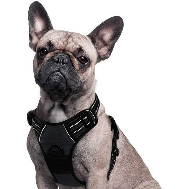 Dog Harness Harness for Small and Medium Dogs Anti Pull Chest Harness No Pull Safety Harness Auto Dog Harness Labrador Puppy Harness Jogging Escape Proof Soft Padded (Black,S)