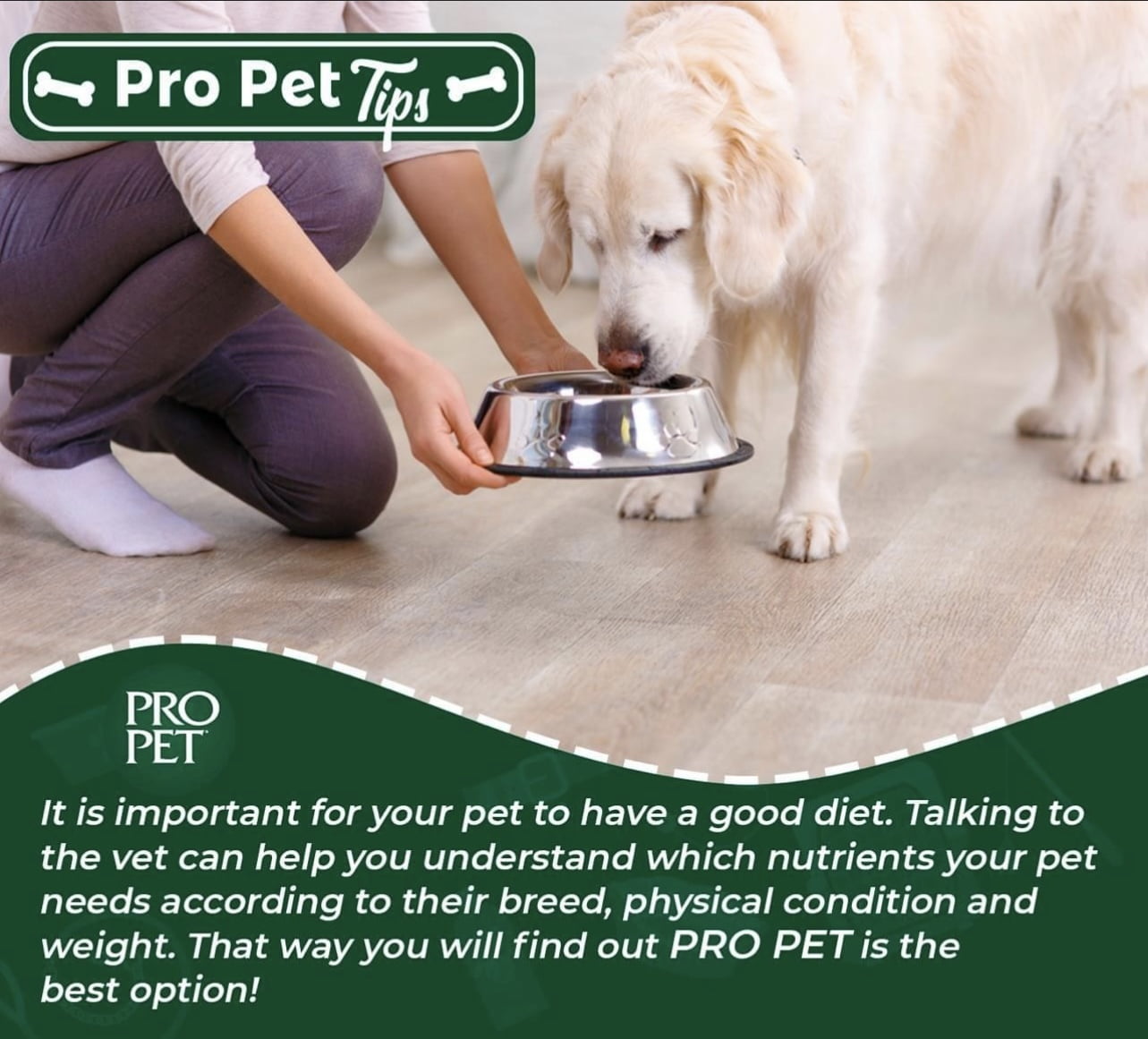 Pro Pet Dry Dog Food for All Types of Dogs Plastic Bag 11lbs Individual Pack