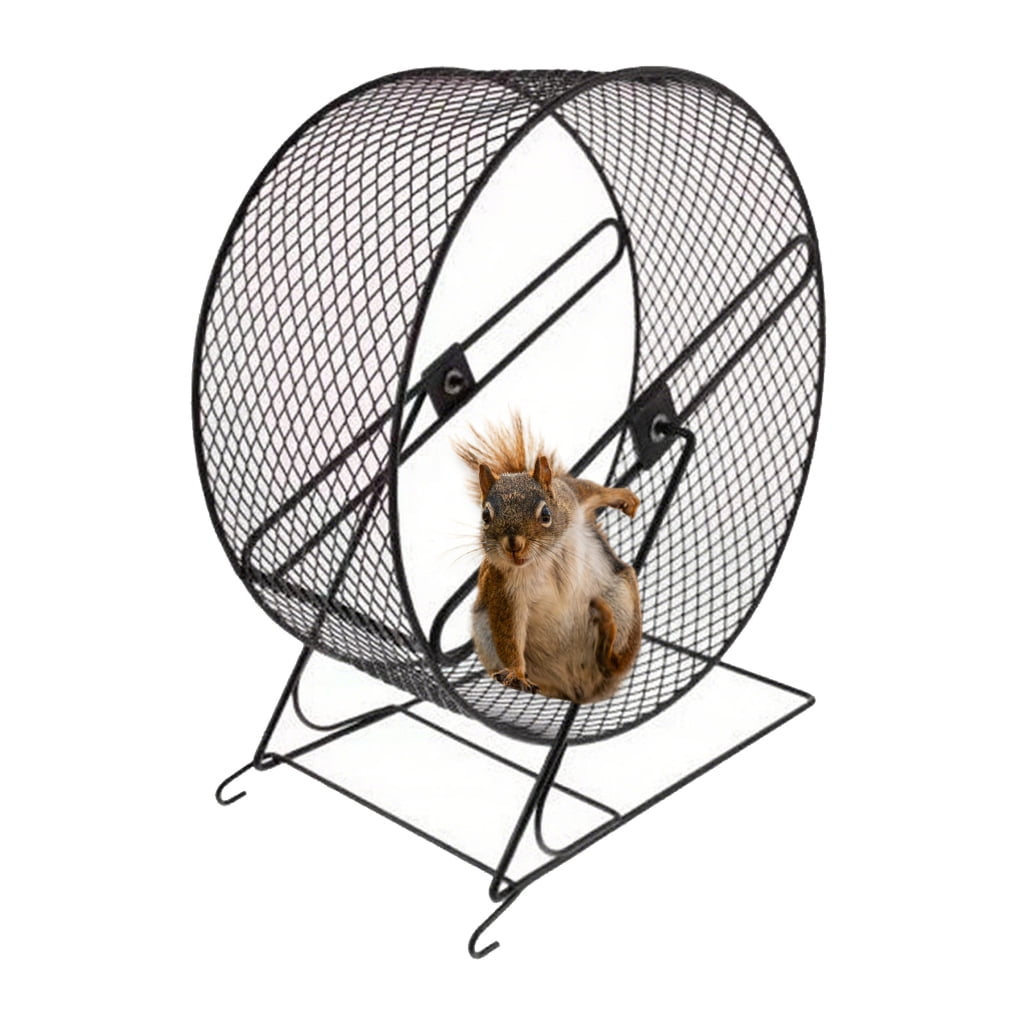 PatungKu Calm Small Pet Running Wheel Iron Building For Hamsters Squirrels Unguis Crushing And Exercise