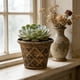 thumbnail image 4 of Maceta de Ratán Romano de Plástico Qazbgdl de 18 Cm de Grosor | Tamaño Ampliado para Bonsáis, Rábanos y Hortalizas | Decoración para Interiores y Exteriores, Jardines y Balcones | Incluye 1 Maceta, 4 of 6