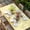 yellow, variant on Yellow Bees Gnomes Table Cloths for 3 Foot Rectangle Tables, Spring Floral Plaid Farmhouse Patio Waterproof Elastic Fitted Tablecloths, Washable Rectangular Table Cover for Camping