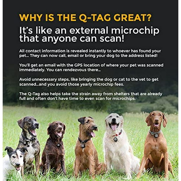 Digital pet id shop tag
