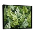 thumbnail image 2 of Designart "Enchantment with Ferns II" Floral Floater Framed Wall Art Living Room, 2 of 7