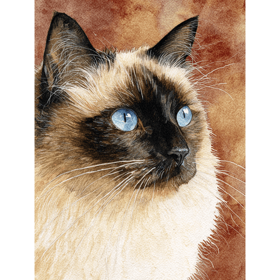 Siamese Cat Watercolor Canvas Wall Art,Elegant Pet Decor for Living Room Bedroom Office Study Dining Room Cafe