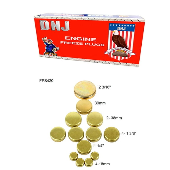 DNJ FPS420 Expansion Plug Kit Fits Cars & Trucks 97-04 Ford Mercury Escort Focus 2.0L SOHC 8v