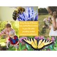 Nuggets of Nectar Pollinator DHF10 Garden Flower Seed Starter Kit
