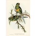 thumbnail image 2 of Gould, John 13x18 Black Modern Framed Museum Art Print Titled - Black-tailed Parakeet-Polytelis melanura, 2 of 4