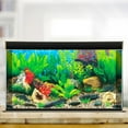 thumbnail image 3 of Walbest Aquarium Background Sticker, 3D Double-Sided Adhesive Wallpaper Fish Tank Decorative Pictures Underwater Backdrop Image Decor (62x30cm/24.41" x 11.81"), 3 of 7