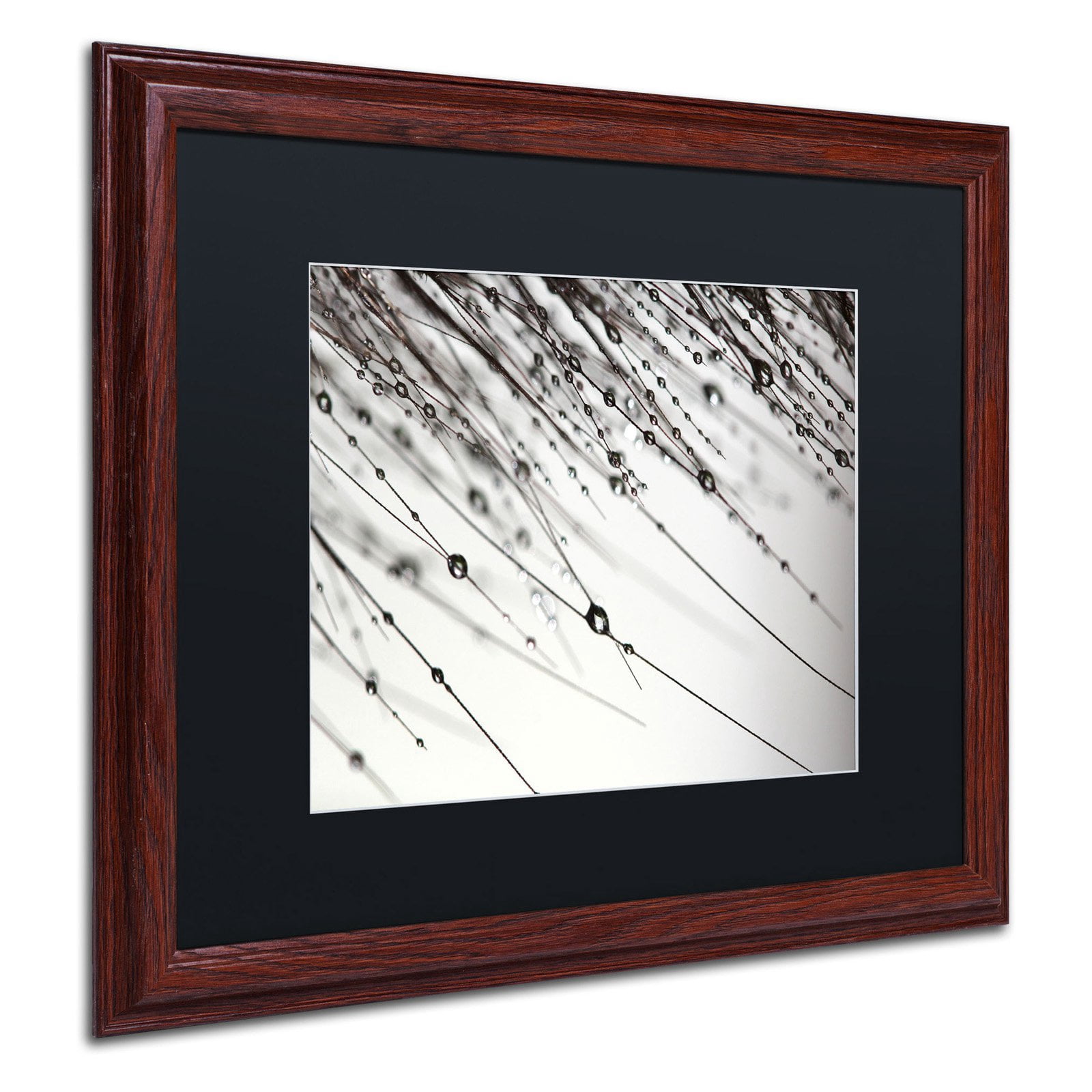 Trademark Fine Art "Her Wishes" Canvas Art by Beata Czyzowska Young, Black Matte, Black Frame