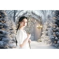 thumbnail image 3 of 10 x 8 ft Winter Christmas Night Backdrop Fairy Winter Wonderland Arch Door Snowing Forest Pine Trees Flashing Lights Xmas Photography Background Pine Trees Xmas Party Decor Banner Photo Studio Props, 3 of 5