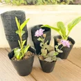 thumbnail image 3 of 100/50PCS Thickened Seedling Bag with Holes Plastic Flowerpot Flower Plant Breathable Container Garden Vegetable Planting Pots, 3 of 10