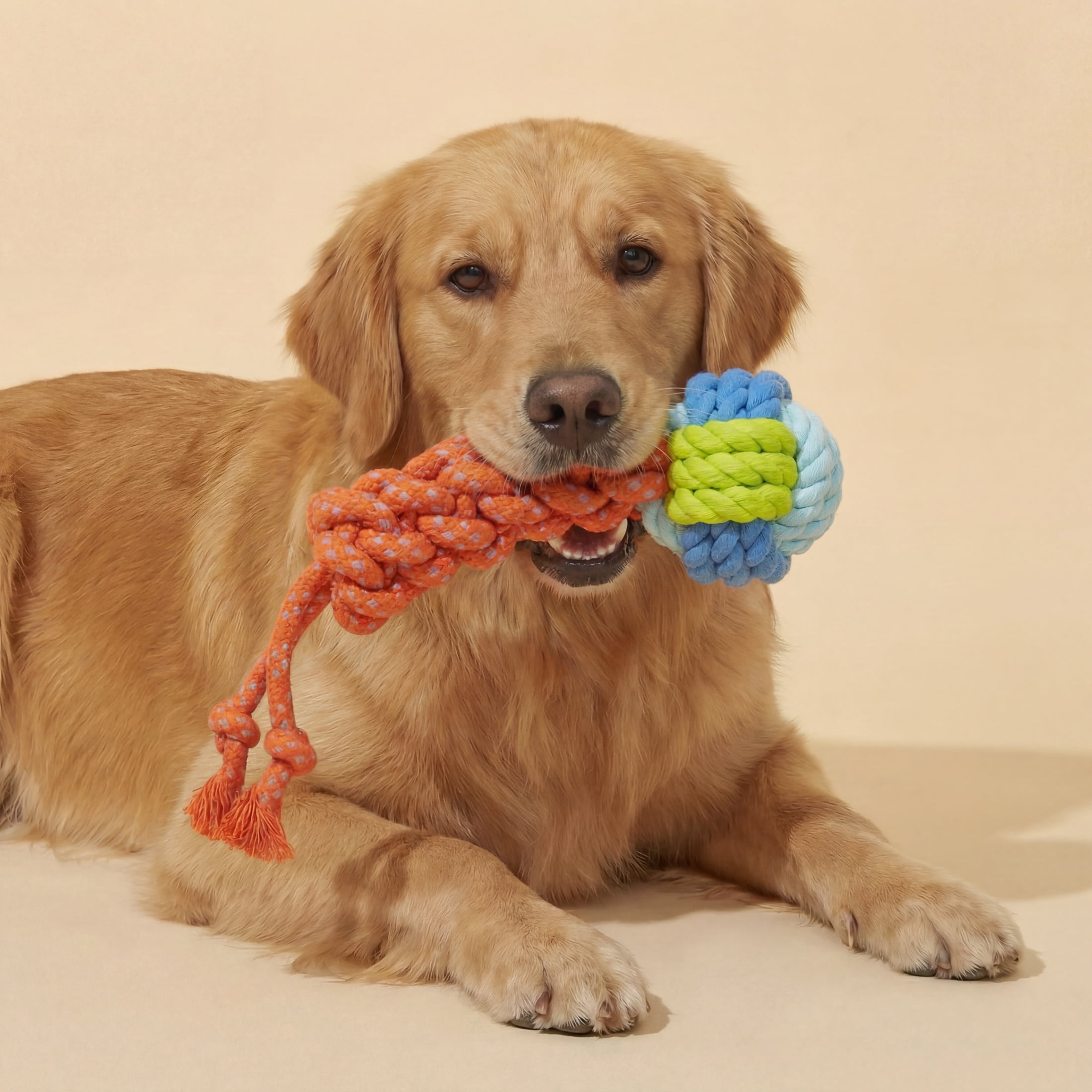 Oodles Durable Lasso Rope Dog Toy Set, Multicolored, Large