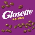 thumbnail image 2 of GLOSETTE Raisins Candy, Chocolatey coated, perfect for sharing, 275g, 2 of 7