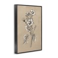 thumbnail image 4 of Stupell Industries Apple Blossom Drawing Botanical & Floral Drawing Black Framed Art Print Wall Art, 16 x 24, 4 of 10