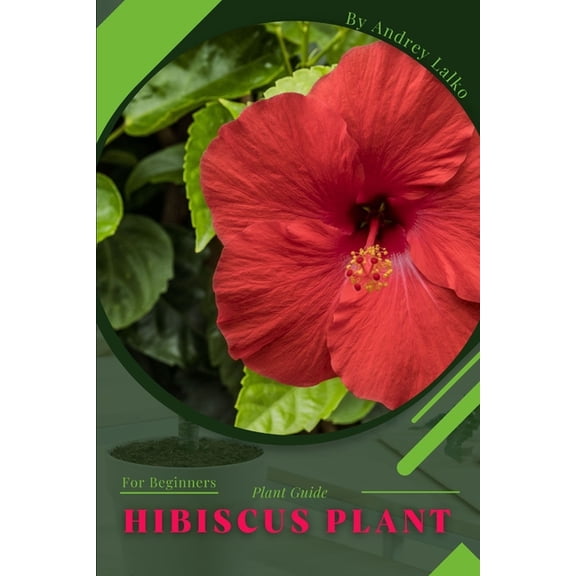 hibiscus plant: Plant Guide