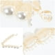 thumbnail image 5 of PEARL CLINCHER COMPBS CLIP CLILL PLÁSTICO PELO DE PANTALLA PULSIÓN PÉRFES DE PÉRDE PELOTAR, 5 of 6