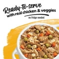 thumbnail image 4 of Purina Beneful Dog Food Freshly Prepared Meals, High Protein Wet Dog Food, Dog Food Gravy, Chicken Stew, 4 of 13