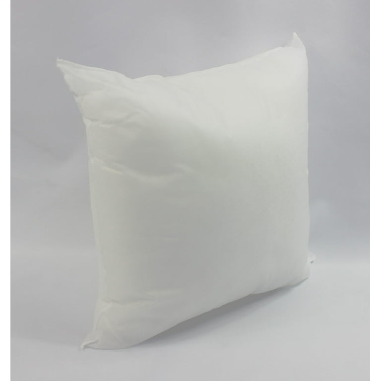 20x20 Pillow Inserts (Set of 2) - Throw Pillows Insert 20 x 20, Bed and  Couch Pillows, Lightweight Down Alternative Polyester, Sham Stuffer, Indoor