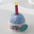 thumbnail image 3 of Walbest Dog Soft Plush Birthday Cake Toy, Colorful Candles Bite Resistant Creative Funny Dog Gift Dog Embroidered Bone Dog Chew Toy Pet Supply, 3 of 6