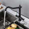 thumbnail image 5 of Retro Black Kitchen Faucet - Two Handle Kitchen Mixer Tap - 360° Swivel - Kitchen Sink Faucet, 5 of 5