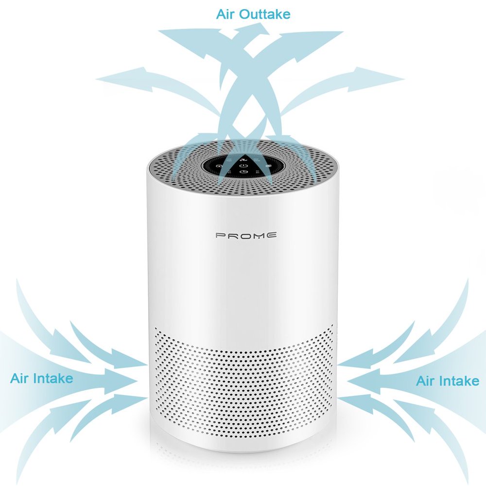 PROME Air Purifier with True HEPA Filter Actived Carbon Layer Filter Odor Allergies Eliminator