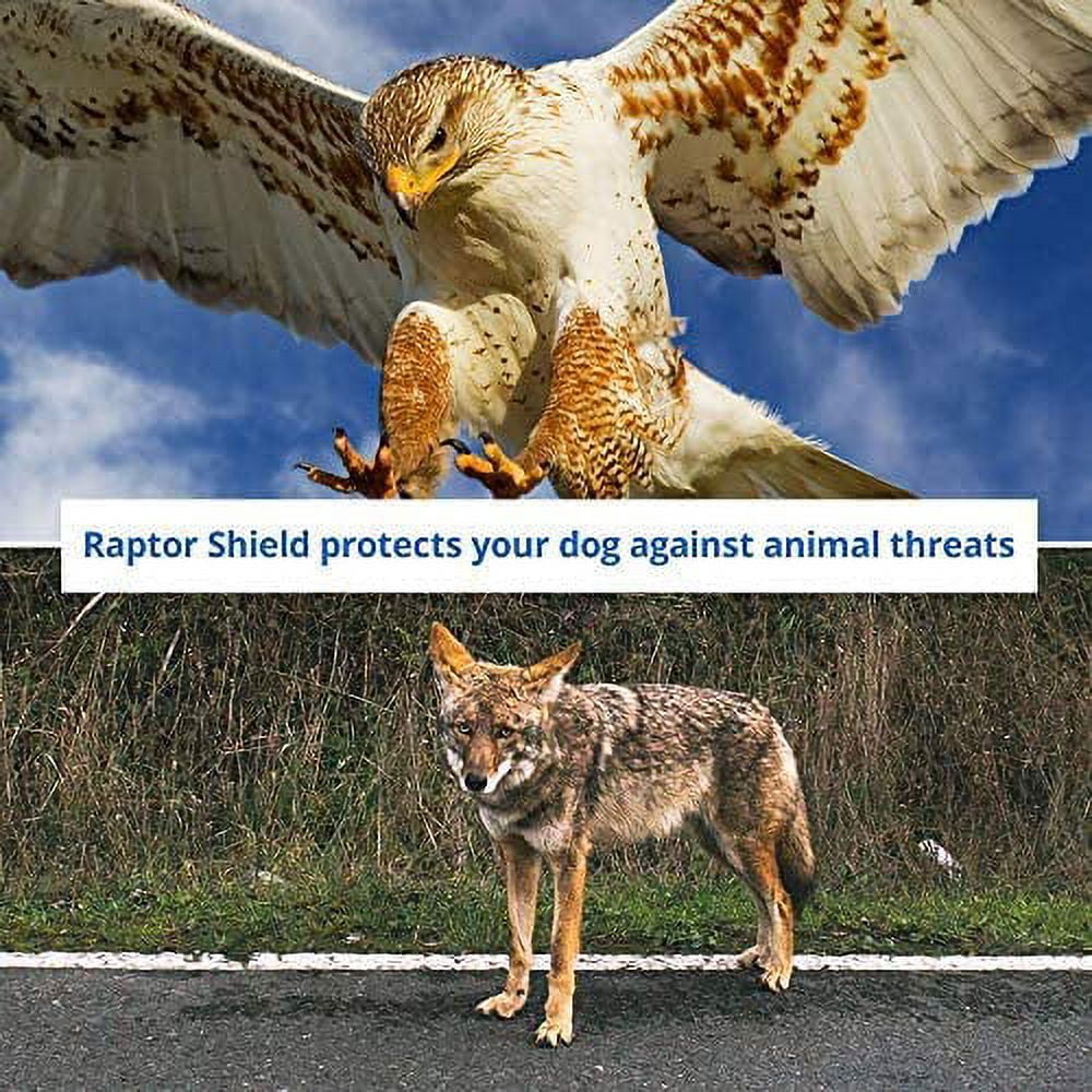 Raptor Shield  Small, 4-6.5 lbs, Chest 10.5 to 13.5"