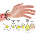 thumbnail image 5 of Pulsera de osmio de iones de titanio, pulsera de terapia magnética, pulsera magnética de drenaje linfático para hombres y mujeres, 5 of 5