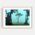 thumbnail image 2 of The Valley of Lost Souls - Fanal Laurel Forest of Madeira Island 6 - Madeira Portugal Photography Unframed Wall Art Print 5 x 7 inches, 2 of 7