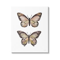 Stupell Industries Butterfly Wings Insect Portrait Graphic Art Gallery Wrapped Canvas Print Wall Art, Design by House Fenway