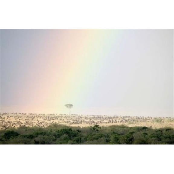 Great Migration of Wildebeests Masai Mara National Reserve Kenya Poster Print by , 16 x 11