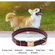 thumbnail image 4 of Premium Dog Collar, Cute Dog Collars Luxury Style, Durable Pet Collars with Metal Buckle Safety for Medium Dogs M, 4 of 4