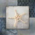 thumbnail image 2 of LightBoxJournal 20x20 White Modern Wood Framed Museum Art Print Titled - Blue Star Fish 3, 2 of 4