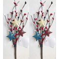 thumbnail image 1 of Selecciones Patrióticas De Pip Con Estrellas | 2 Piezas | 11,5 Pulgadas | Decoración Americana, 1 of 3