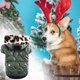 thumbnail image 5 of Ropa de perro del animal doméstico Invierno Casual Ropa de abrigo Teddy Chaqueta de peluche, 5 of 5