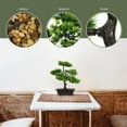 thumbnail image 2 of WHAMVOX Indoor Bonsai Tree Plastic Potted Plant 1Pack 17x9in, 2 of 8