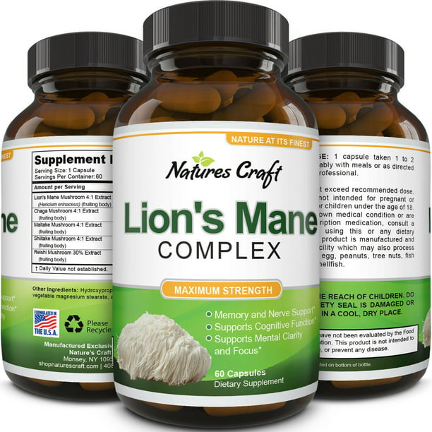 Lion's Mane Mushroom Memory Supplement Brain Support Mood Boost Chaga ...