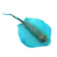 thumbnail image 2 of Greeniant 2019 silicona brillante acuario Artificial Manta Ray Fish Tank Fake Devil Ray ornamento acuático decoración del acuario Azul Greeniant JJ6584-03, 2 of 6
