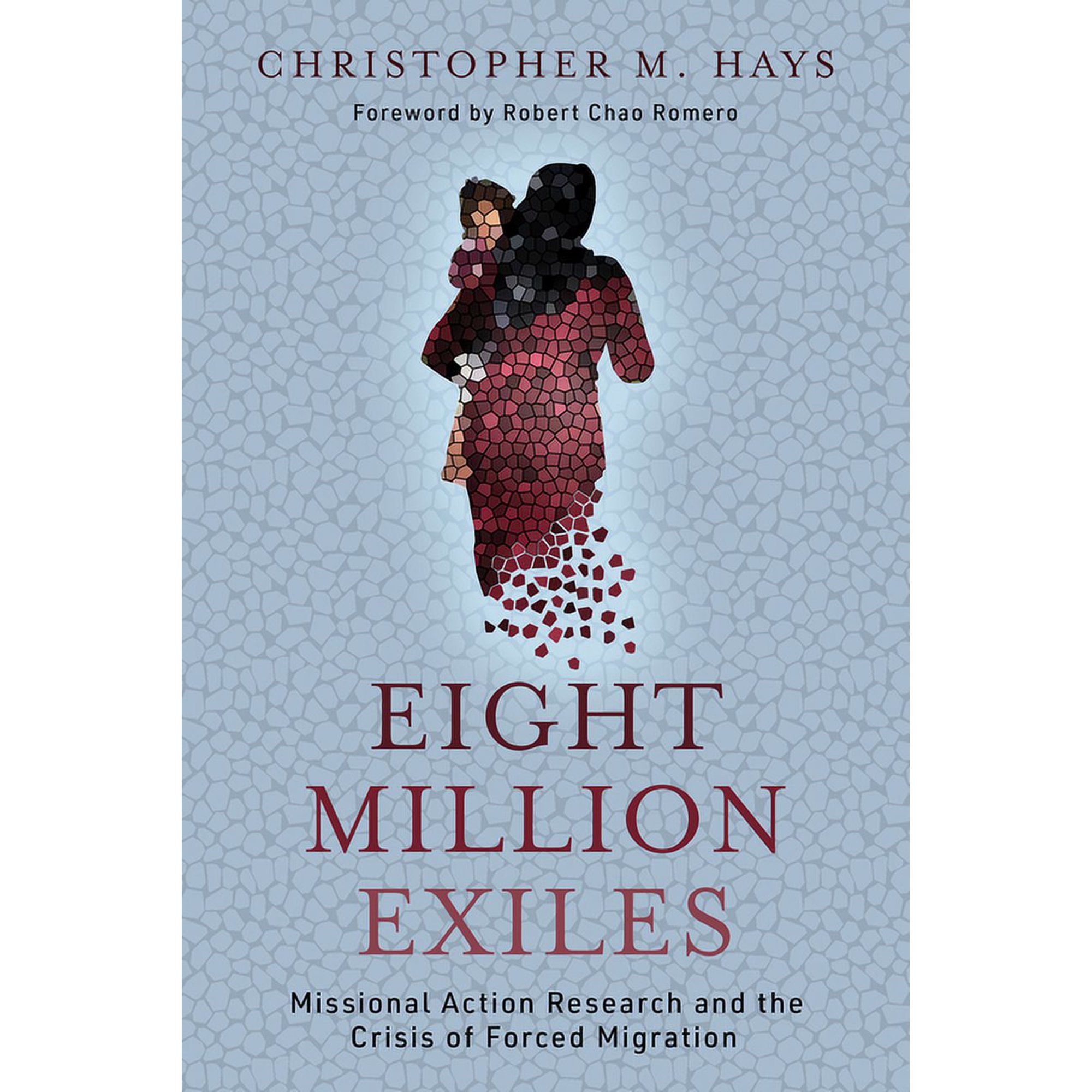 Eight Million Exiles: Missional Action Research and the Crisis of Forced Migration (Paperback)