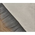 thumbnail image 4 of Plush Rug, Area Rug Shaggy Machine Washable Comfortable Rug for Bathroom Bedroom Living Room Carpet Kindergarten Pet Floor Mat-White gray tip-60x60cm(24x24inch), 4 of 8