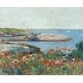 thumbnail image 2 of Hassam, Childe 23x20 Gold Ornate Wood Framed with Double Matting Museum Art Print Titled - Poppies-Isles of Shoals, 2 of 4