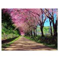 thumbnail image 2 of Design Art - Sentier des Fleurs de Cerisier à Chiang Mai, 2 of 3