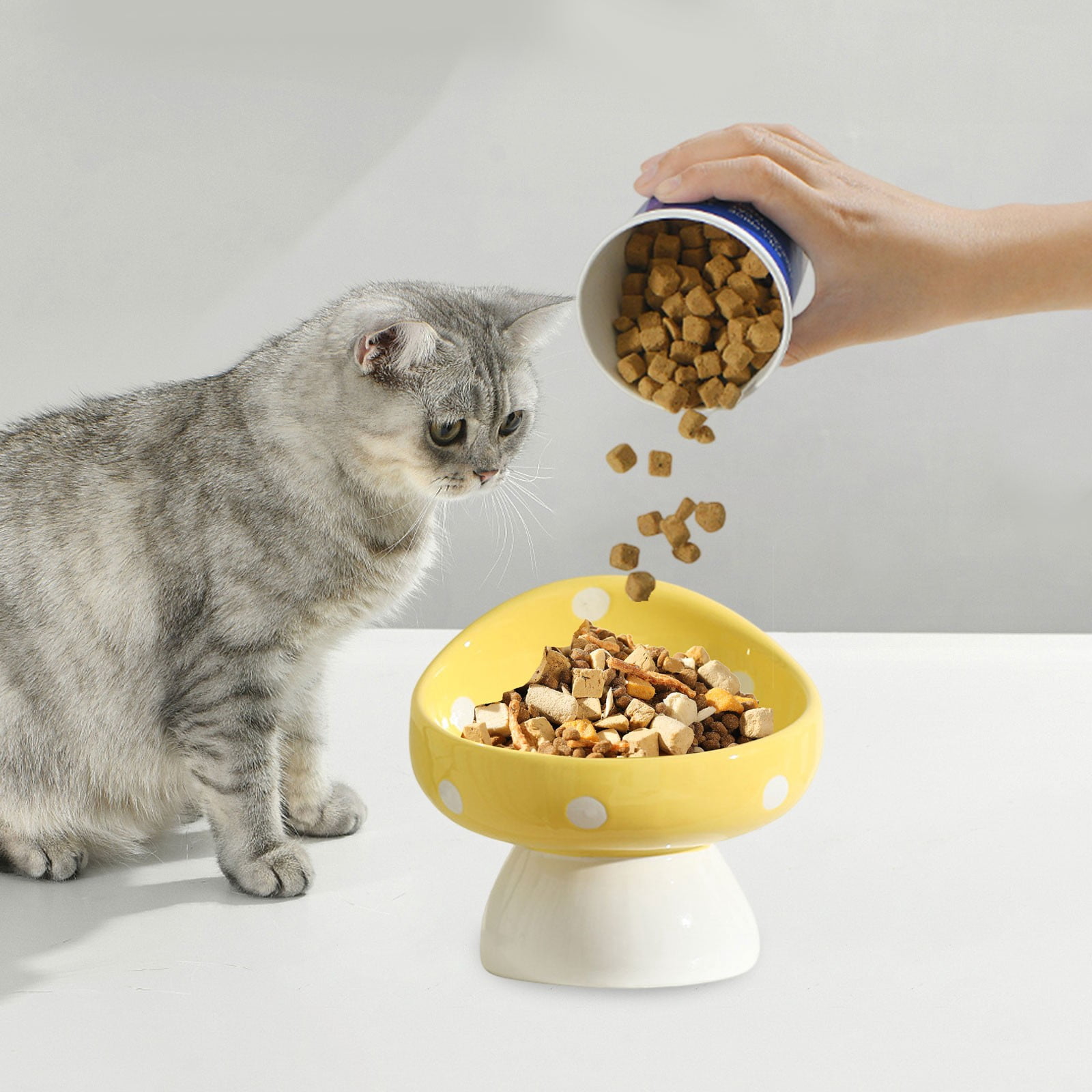 Aff*ordable！Ceramic Pet Bowl Set Wide Mouth Dog Cat Food Dish Non Slip Base Elevated Neck Support Feeder for Large Small Breeds, Tilted Design for Better Digestion and Posture