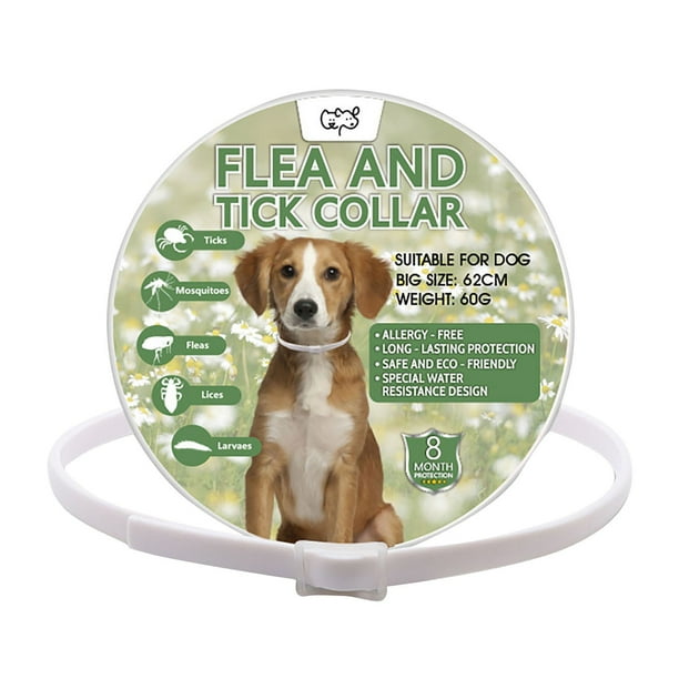¡Venta caliente! Collar antipulgas para perros, collar antipulgas y garrapatas para perros, tratamiento contra pulgas y garrapatas para perros de 8 meses, collar ajustable impermeable para