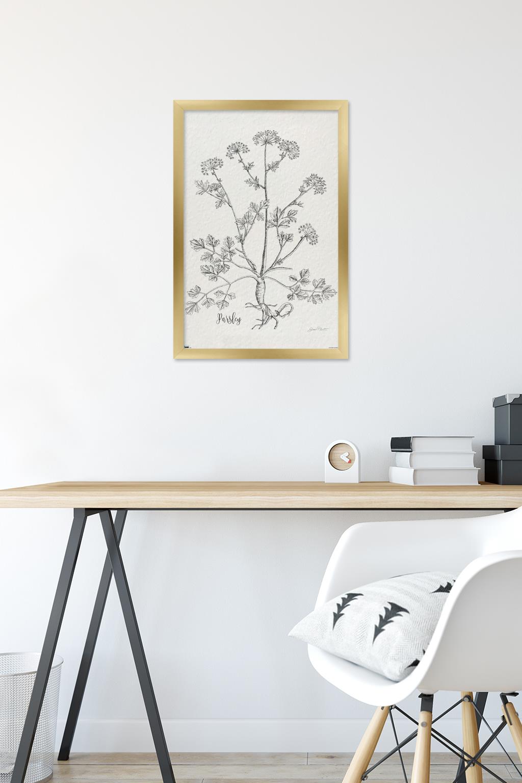 Jean Plout - Botanical Studies on Paper Parsley Wall Poster, 14.725" x 22.375" Framed