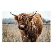 Giant Art 72x48 Grazing Fine Art Giant Canvas Print in Multi-Color