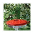 thumbnail image 3 of Audubon 24114 Classic Hummingbird Feeder, 12-oz. - Quantity 1, 3 of 3